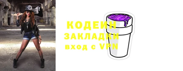спиды Богородск