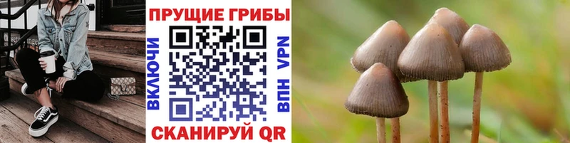Псилоцибиновые грибы Cubensis  ссылка на мегу ТОР  Михайлов 